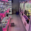 뽑아가브러 이미지