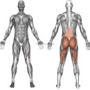 굿모닝 PC 이미지