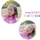 유아 물티슈추천:)안전한 프리미엄 1등급 물티슈 누누베베