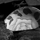 대둔산로 이미지