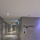 해운대엘시티더샵경로당 | 해운대 엘시티 레지던스 와이컬렉션 후기 (파노라마 오션뷰 로얄 스위트 )