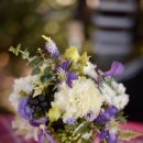 벤자민&데이지 이미지