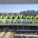 하늘농장 이미지