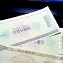 아이빌안경콘텍트 이미지