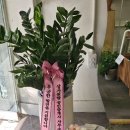 광안리공인중개사사무소 이미지