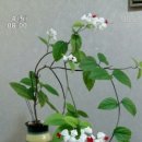 불당이안아파트 이미지