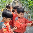 안내초교 병설유치원 이미지