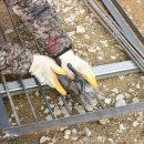 승희축사 이미지