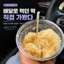 수궁 | 떡수궁 매장 방문 후기, 단호박 카스테라 인절미와 아이스 꿀떡