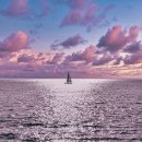 I Have a Dream | <I Have a Dream>꿈틀거리는 "꿈의 틀"