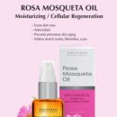 베르소C 이미지