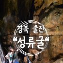 명문애견 | 경북 울진 아이와 가볼 만한 곳 성류굴 신기한 동굴체험