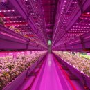 정의농장 이미지