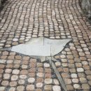 훈데르트바서파크 이미지