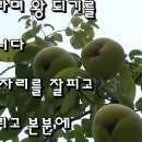노용섭 이미지