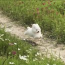 영일대궁 이미지