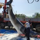 동해-단속-10 이미지