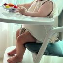 하이이로더그레이하우스 | [육아용품 후기] 하이체어_ 싸이벡스 레모 4in1 올화이트 8개월 내돈내산 사용 후기, 다시 사도 선택할까?