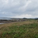 종달해변