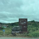 디아나 | 디아나수풀 카페 솔직 후기