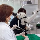 아이미소소아치과의원 이미지