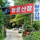청운개발 티스토리