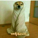 안녕_도깨비 이미지