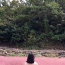 서광리-10 이미지