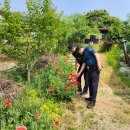 남부파출소 이미지