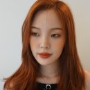 레드미장원