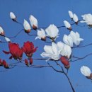 목련 | 복효근 〈목련 후기〉 지저분하고 아프고 오래 앓는 감정의 진실성