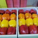 (주)에코팜 이미지