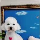 펫밀리샵 이미지