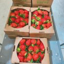 농협서충주기업도시점 이미지