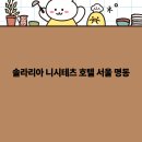 솔라리아 니시테츠 호텔 서울 명동 이미지