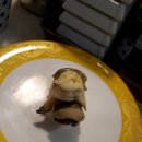 스시혼텐동래
