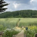 둔내당구장 이미지