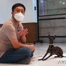바르개 이미지