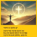 일관 이미지