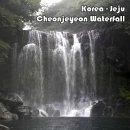 천제연폭포 이미지