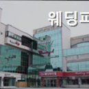 웨딩파티엘