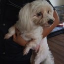 해맞이 노래연습장 이미지