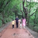 구천동 어사길 이미지