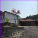 용산리 | [충북점집] 용산리용한점집 금수암 신점 후기, 답답한 마음이 뻥 뚫렸어요!