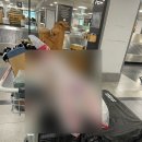 은미민박 | 체코 프라하에서 두 달 살기 : 출국전- 1일차까지