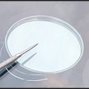 수지차유리 | 남양주자동차유리복원 차유리돌빵 후기 포르테쿱