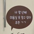 댕로리 이미지