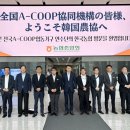 안성농협하나로마트 이미지