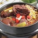 선지로 티스토리