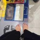 굿피트 코리아 제1사업본부 이미지